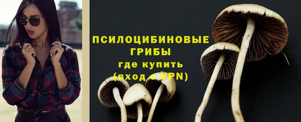 PSILOCYBIN Богородицк