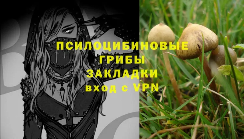 Галлюциногенные грибы Magic Shrooms  Лакинск 